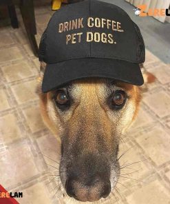 Drink Coffe Pet Dogs Hat 3