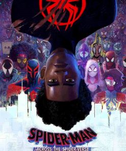 Spider man Across The Spider Verse Poster Canvas 2