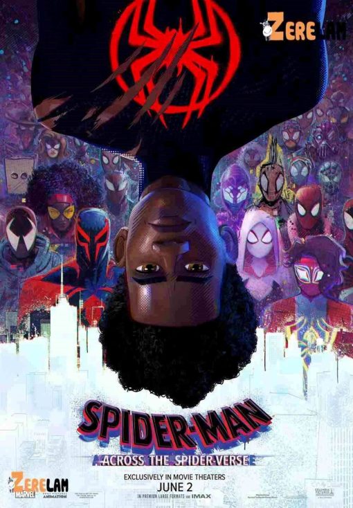 Spider-man Across The Spider Verse Poster Canvas