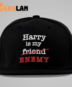 Harry Is My Friend Enemy Hat 2