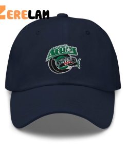 Houston Aeros Logo Hat 2