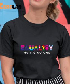 LGBT Equality Hurts No One Shirt 11 1