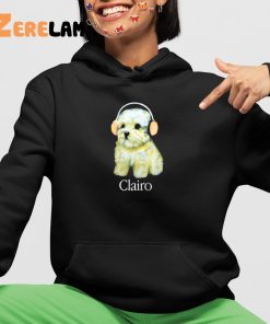 Clairo Dog Tour Merch Hoodie 4 1