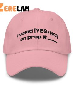 I Voted Yes No On Prop Hat 3