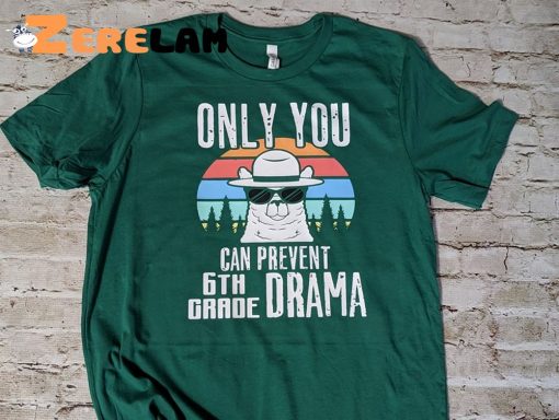 Only You Can Prevent 6th Grade Drama Shirt
