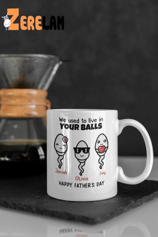 We Used To Live In Your Balls Mug, Gifts For Father Day’s