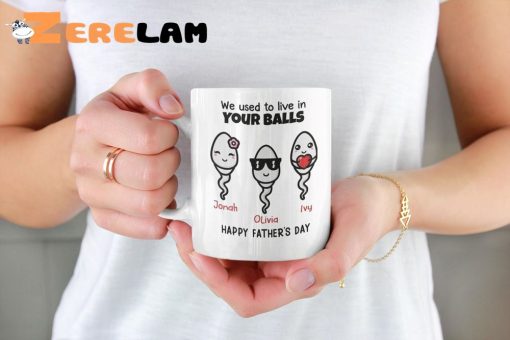 We Used To Live In Your Balls Mug, Gifts For Father Day’s