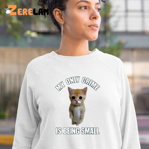 Cat My Only Crime Is Being Small Shirt