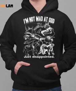 I Not Mad At God Just Disappointed Shirt 2 1