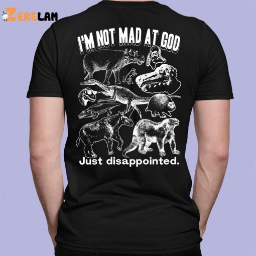 I Not Mad At God Just Disappointed Shirt