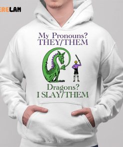 My Pronouns They Them Dragons I Slay Them Shirt 2 1