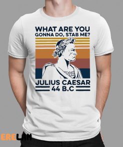 What Are You Gonna Do Stab Me Julius Caesar 44 Bc Shirt