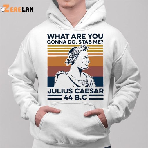 What Are You Gonna Do Stab Me Julius Caesar 44 Bc Shirt