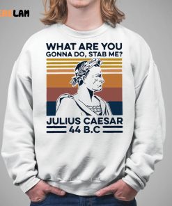 What Are You Gonna Do Stab Me Julius Caesar 44 Bc Shirt 5 1