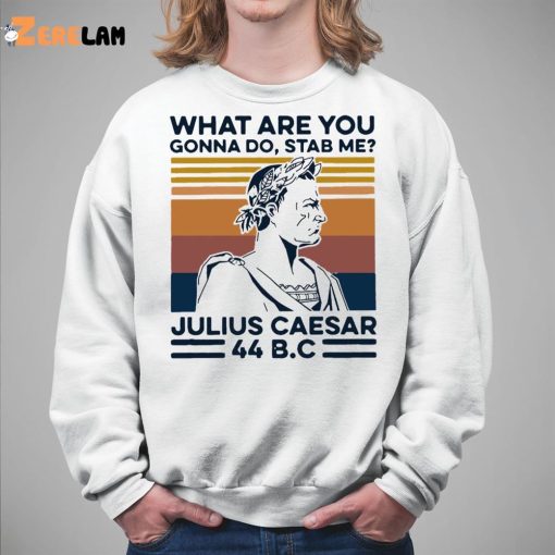 What Are You Gonna Do Stab Me Julius Caesar 44 Bc Shirt