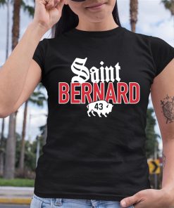 26 Shirts Saint Bernard 43 Shirt 6 1 1