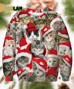 Adorable Cat With Red Hat Ugly Sweater Christmas