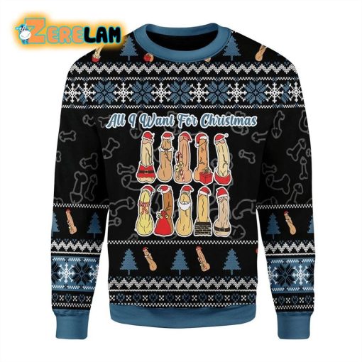 All I Want For Christmas Naughty Dicks For Unisex Ugly Sweater