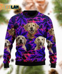 Golden Retriever Leaves Ugly Sweater