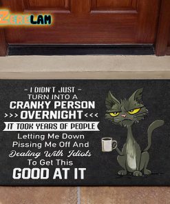 I Didn’t Just Turn Into A Cranky Person Overnight Cat Doormat