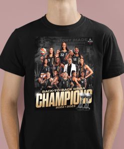 Official Las Vegas Aces Back To Back WNBA Champions T-Shirt, hoodie,  sweater, long sleeve and tank top
