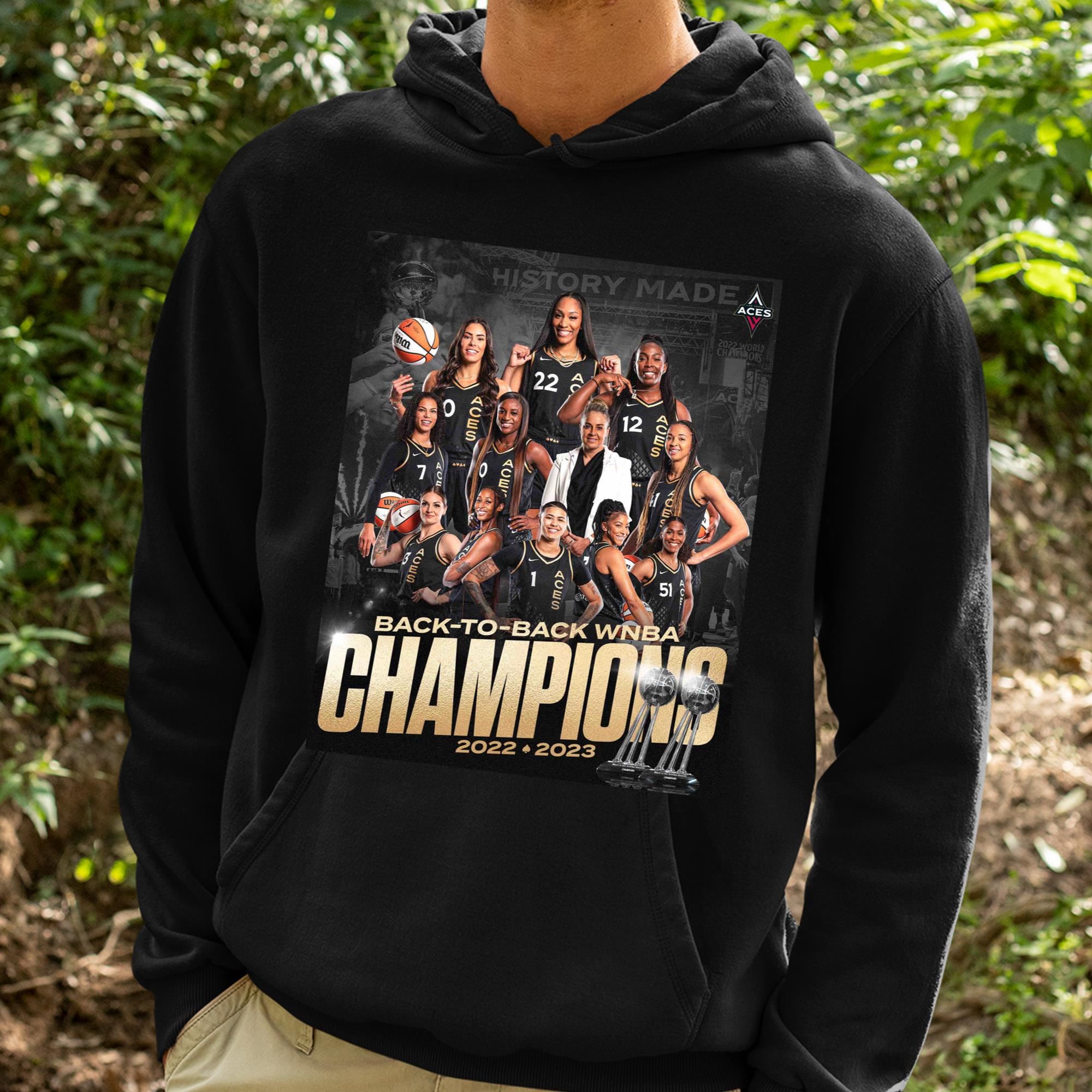 Las Vegas Aces Back To Back Tour Shirt, hoodie, sweater and long sleeve