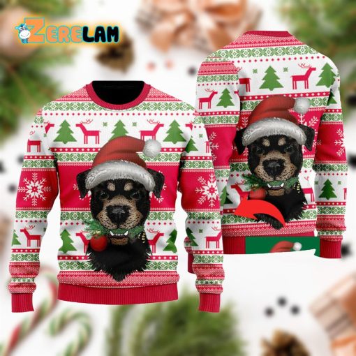 Photo Inserted Cute Dog On Vintage Xmas Ugly Sweaters For Men Women