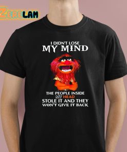 I Didn't Lose My Mind The People Inside My Head Stole It And They Wont Give It Back Shirt