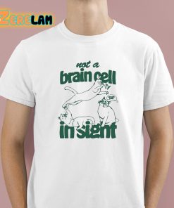 Not A Brain Cell In Sight Shirt