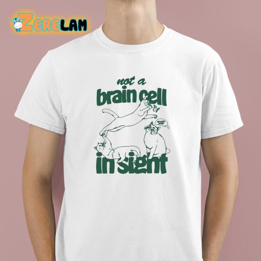 Not A Brain Cell In Sight Shirt