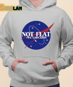 Not Flat We Checked Shirt grey 3 1