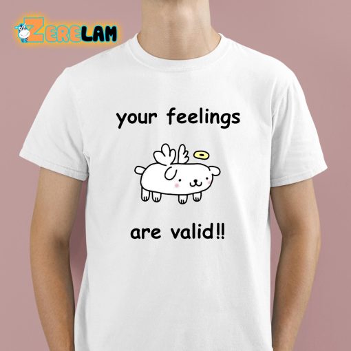 Stinky Katie Your Feelings Are Valid Shirt