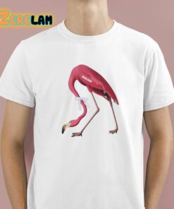 Flamingo Team Mixoloshe Shirt