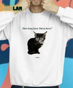 How Long Have I Been Here Kitten Shirt 8 1