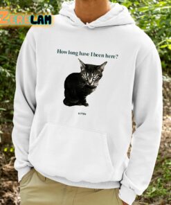 How Long Have I Been Here Kitten Shirt 9 1