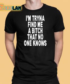 I’m Tryna Find Me I N That No One Knows Shirt