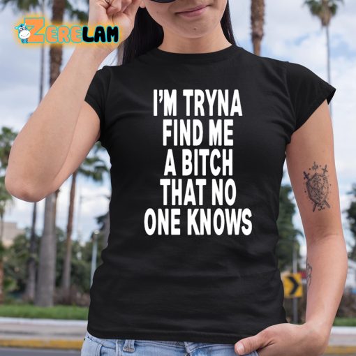 I’m Tryna Find Me I N That No One Knows Shirt