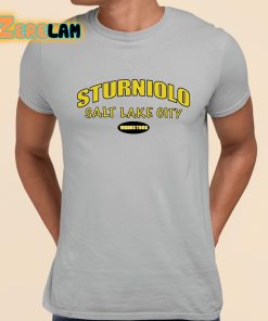 Lets Trip Sturniolo Salt Lake City Shirt grey 1