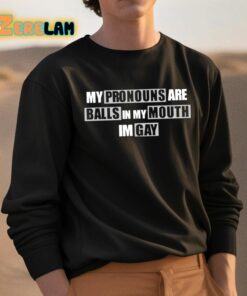 My Pronouns Are Balls In My Mouth Im Gay Shirt 3 1