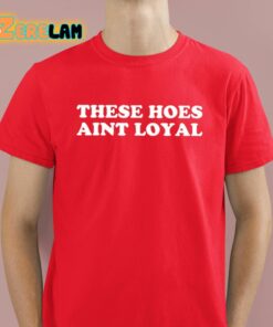 These Hoes Aint Loyal Shirt 2 1