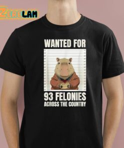 Wanted For 93 Felonies Across The Country Shirt 1 1