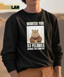 Wanted For 93 Felonies Across The Country Shirt 3 1