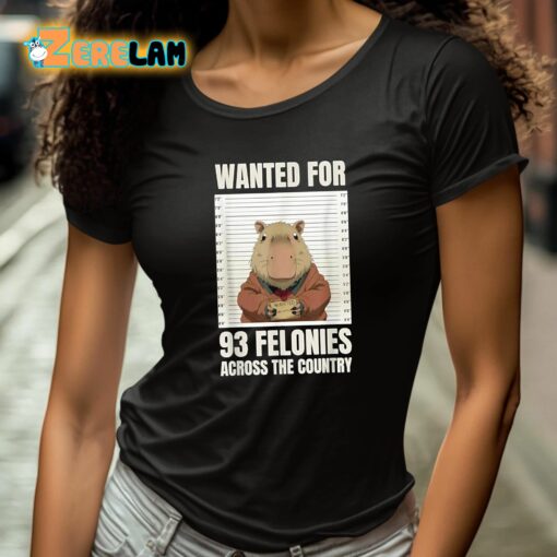 Wanted For 93 Felonies Across The Country Shirt