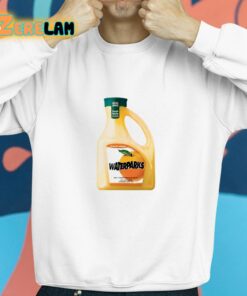 Waterparks Orange Juice Shirt 8 1