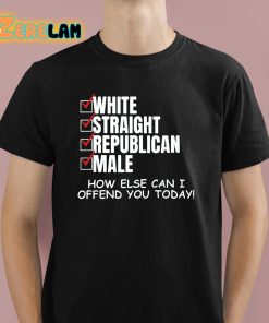 White Straight Republican Male How Else Can I Offend You Today Shirt