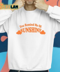 You Remind Me Of Sunshine Shirt 8 1