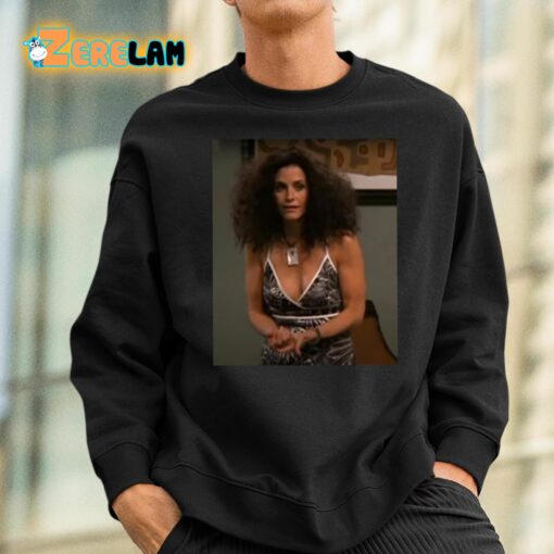 Courteney Cox Monica Geller Friends Hair Shirt