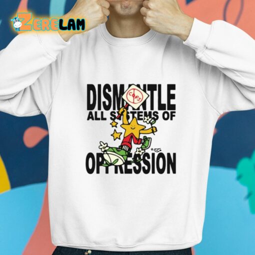 Dismantle All Systems Of Oppression Shirt