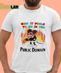 How It Feels To Be In The Public Domain Shirt