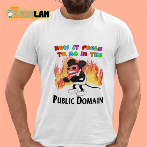 How It Feels To Be In The Public Domain Shirt